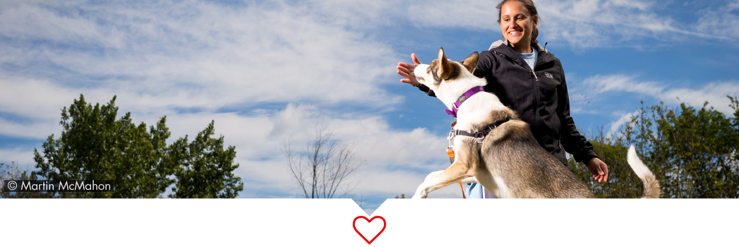 Dog Obedience Classes Spring / Summer 2017