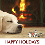 Holiday Retriver