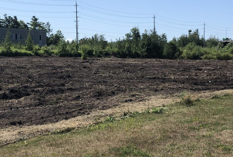 Bulldozed field