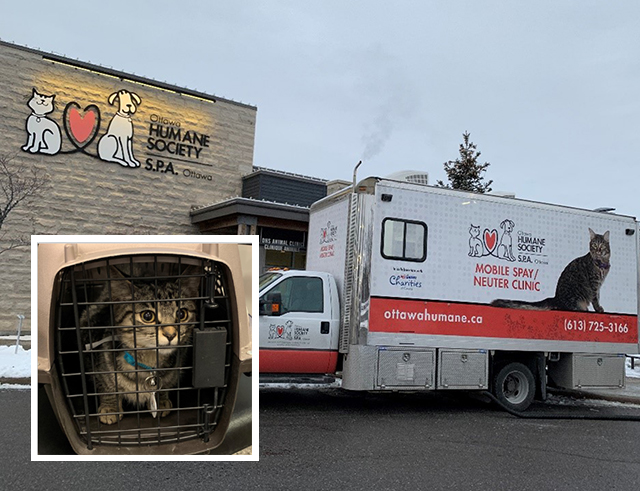 Pepper Potts the cat and the Mobile Spay and Neuter vehicle