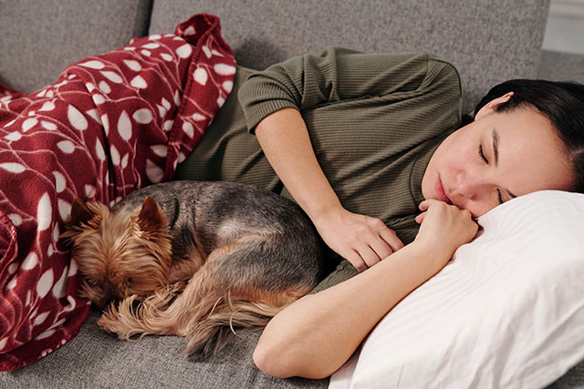 Someone sleeping on a couch with a dog