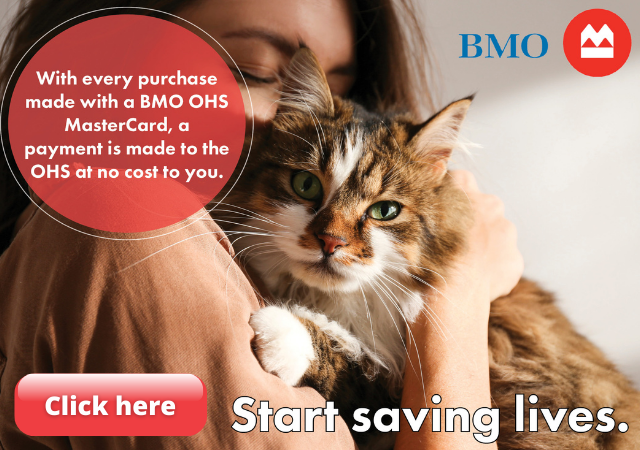 BMO credit card