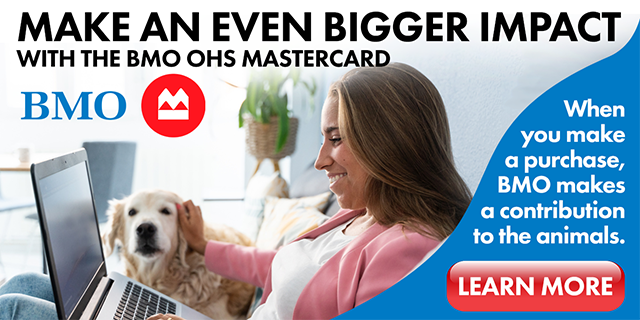 BMO OHS Mastercard