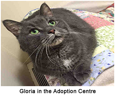 gloria